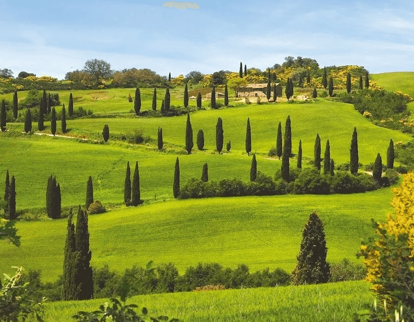 A Tuscany landscape or multi-day experience moment — rolling hills, a hilltop town, a vineyard, or guests at dinner